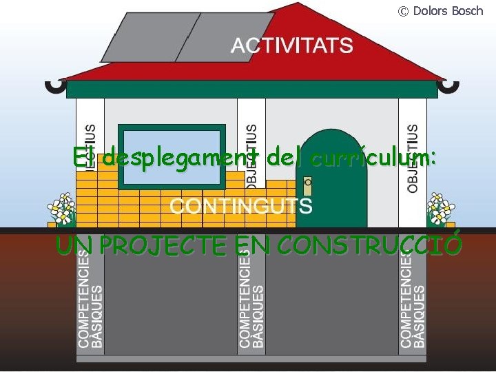 © Dolors Bosch El desplegament del currículum: UN PROJECTE EN CONSTRUCCIÓ 