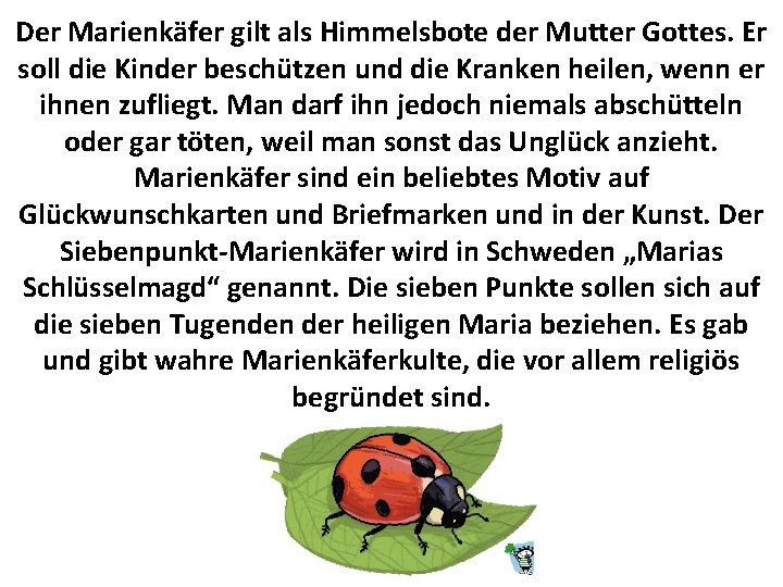 Der Marienkäfer gilt als Himmelsbote der Mutter Gottes. Er soll die Kinder beschützen und