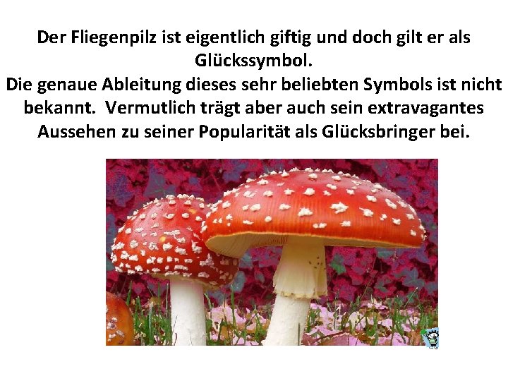 Der Fliegenpilz ist eigentlich giftig und doch gilt er als Glückssymbol. Die genaue Ableitung