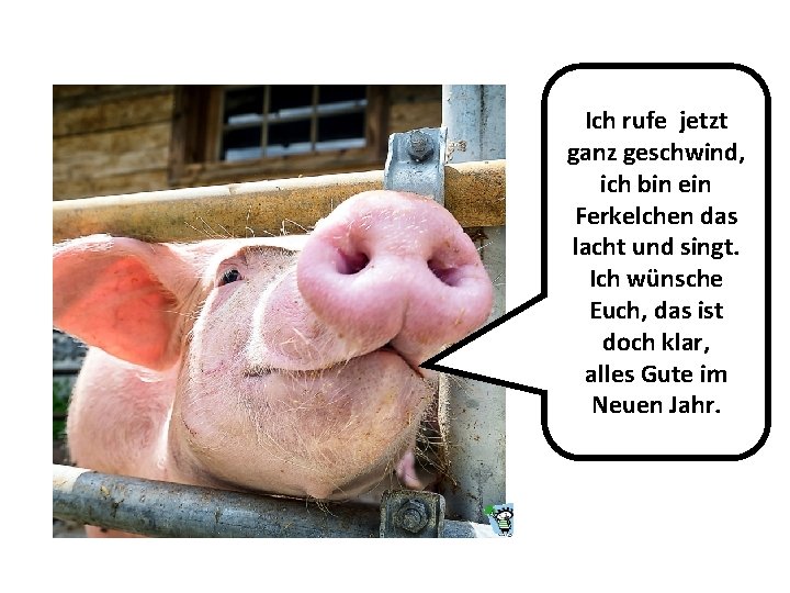 Ich rufe jetzt ganz geschwind, ich bin ein Ferkelchen das lacht und singt. Ich