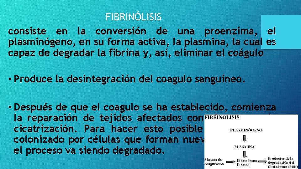 FIBRINÓLISIS consiste en la conversión de una proenzima, el plasminógeno, en su forma activa, FIBRINÓLISIS consiste en la conversión de una proenzima, el plasminógeno, en su forma activa,