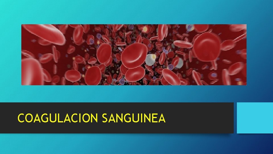 COAGULACION SANGUINEA COAGULACION SANGUINEA