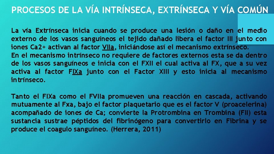 PROCESOS DE LA VÍA INTRÍNSECA, EXTRÍNSECA Y VÍA COMÚN La vía Extrínseca inicia cuando PROCESOS DE LA VÍA INTRÍNSECA, EXTRÍNSECA Y VÍA COMÚN La vía Extrínseca inicia cuando
