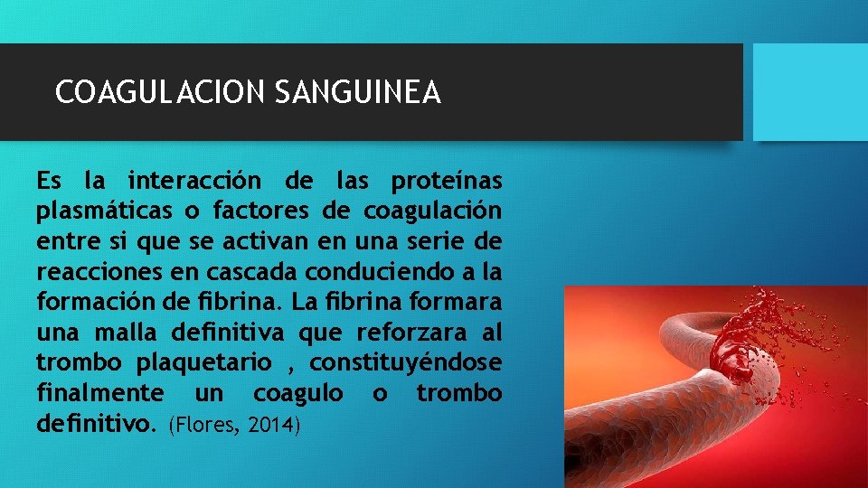 COAGULACION SANGUINEA Es la interacción de las proteínas plasmáticas o factores de coagulación entre COAGULACION SANGUINEA Es la interacción de las proteínas plasmáticas o factores de coagulación entre