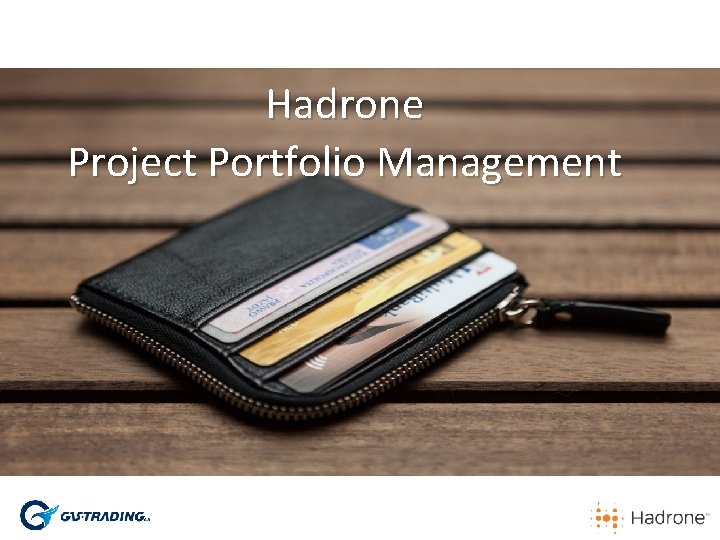 Hadrone Project Portfolio Management Hadrone Project Portfolio Management