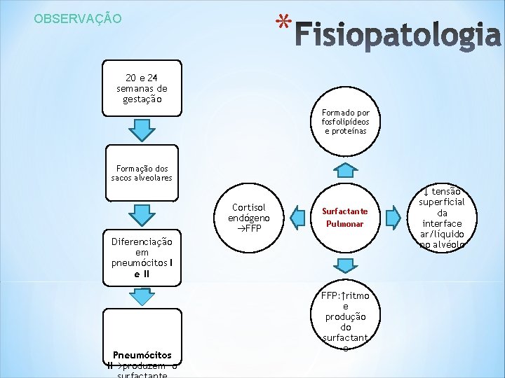 * OBSERVAÇÃO 20 e 24 semanas de gestação Formado por fosfolipídeos e proteínas Formação * OBSERVAÇÃO 20 e 24 semanas de gestação Formado por fosfolipídeos e proteínas Formação