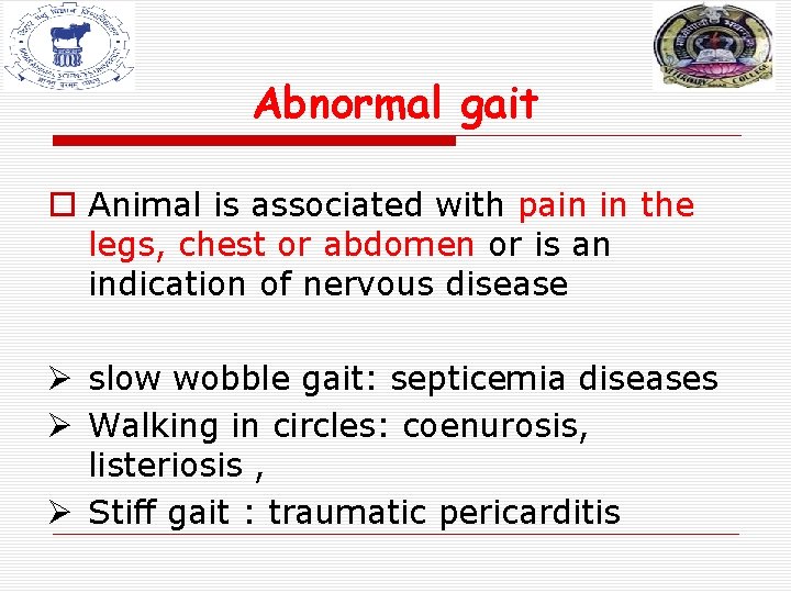 Abnormal gait o Animal is associated with pain in the legs, chest or abdomen Abnormal gait o Animal is associated with pain in the legs, chest or abdomen