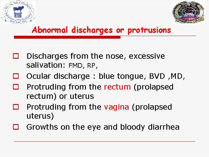 Abnormal discharges or protrusions o Discharges from the nose, excessive salivation: FMD, RP, o Abnormal discharges or protrusions o Discharges from the nose, excessive salivation: FMD, RP, o