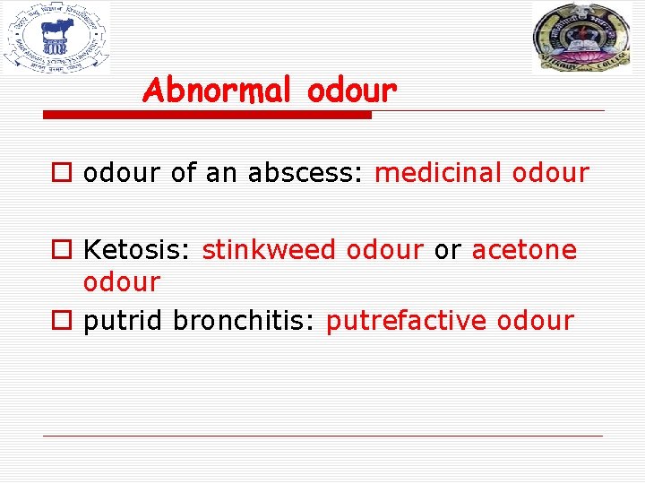 Abnormal odour of an abscess: medicinal odour o Ketosis: stinkweed odour or acetone odour Abnormal odour of an abscess: medicinal odour o Ketosis: stinkweed odour or acetone odour