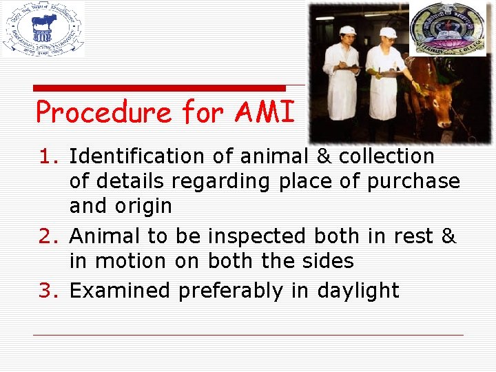 Procedure for AMI 1. Identification of animal & collection of details regarding place of Procedure for AMI 1. Identification of animal & collection of details regarding place of