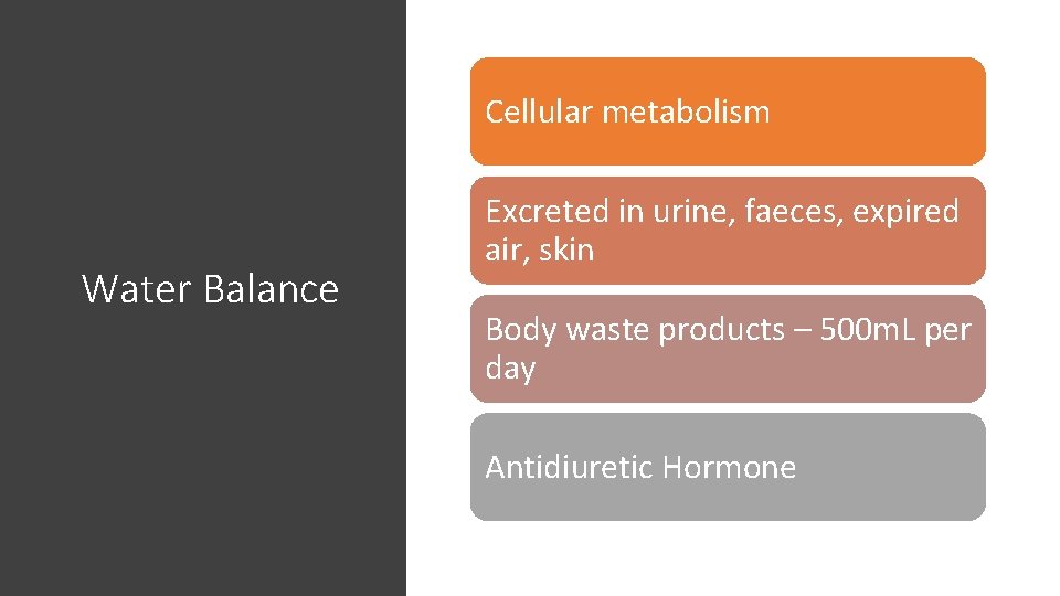 Cellular metabolism Water Balance Excreted in urine, faeces, expired air, skin Body waste products
