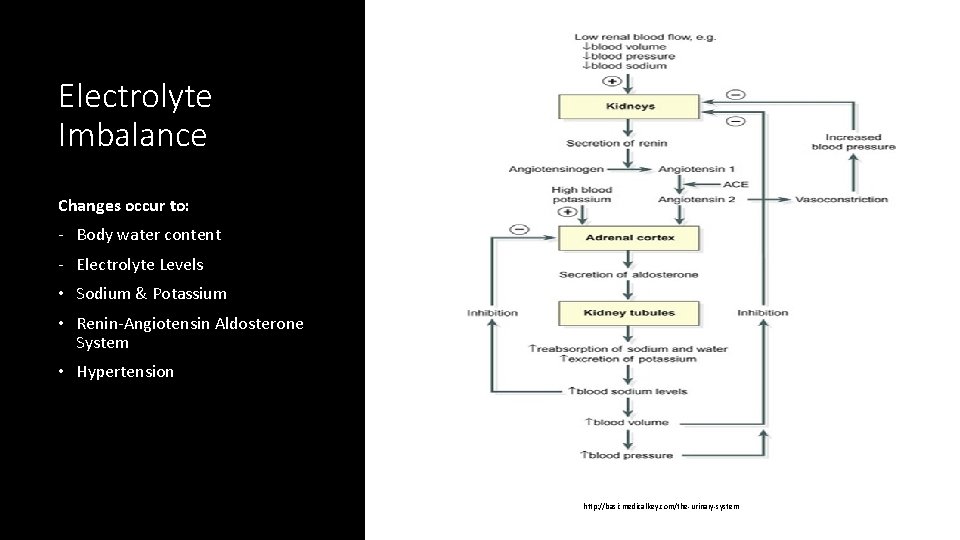 Electrolyte Imbalance Changes occur to: - Body water content - Electrolyte Levels • Sodium