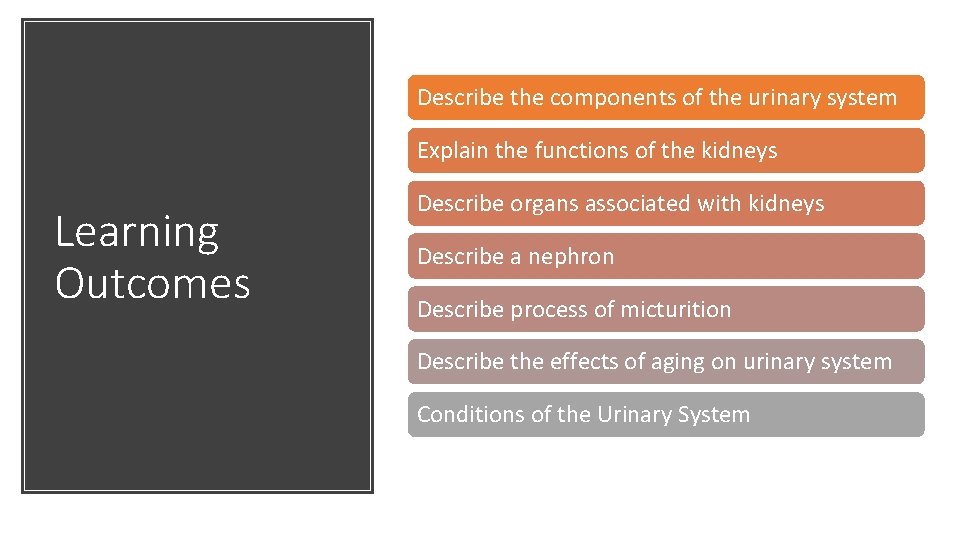 Describe the components of the urinary system Explain the functions of the kidneys Learning