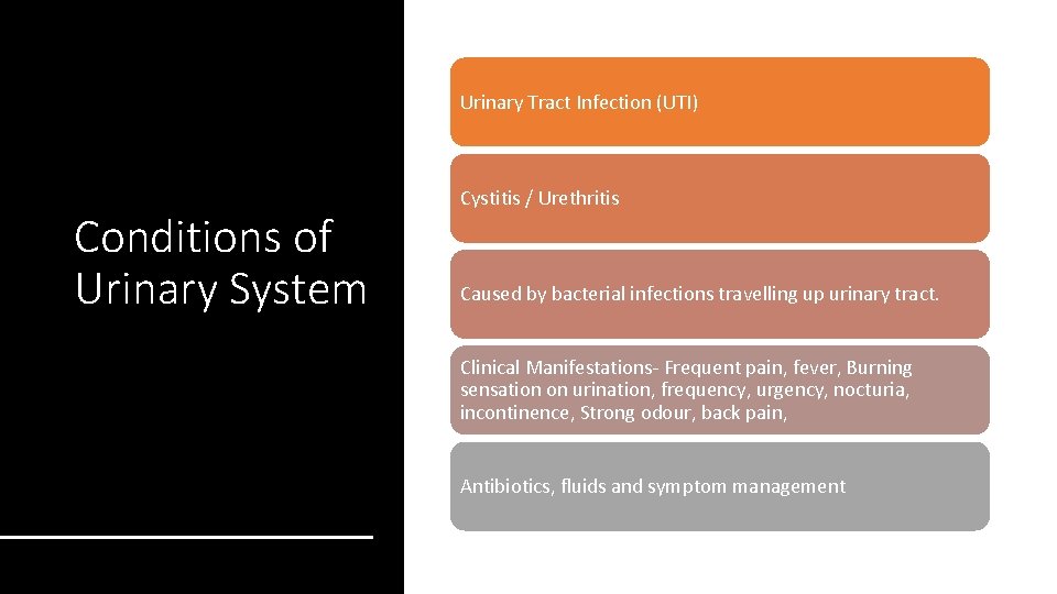 Urinary Tract Infection (UTI) Conditions of Urinary System Cystitis / Urethritis Caused by bacterial