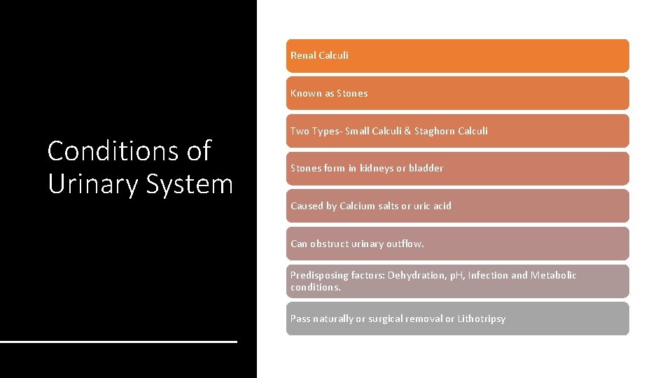 Renal Calculi Known as Stones Conditions of Urinary System Two Types- Small Calculi &
