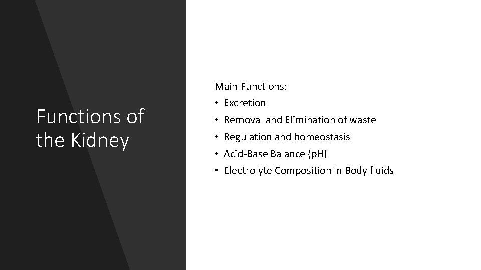 Main Functions: Functions of the Kidney • Excretion • Removal and Elimination of waste