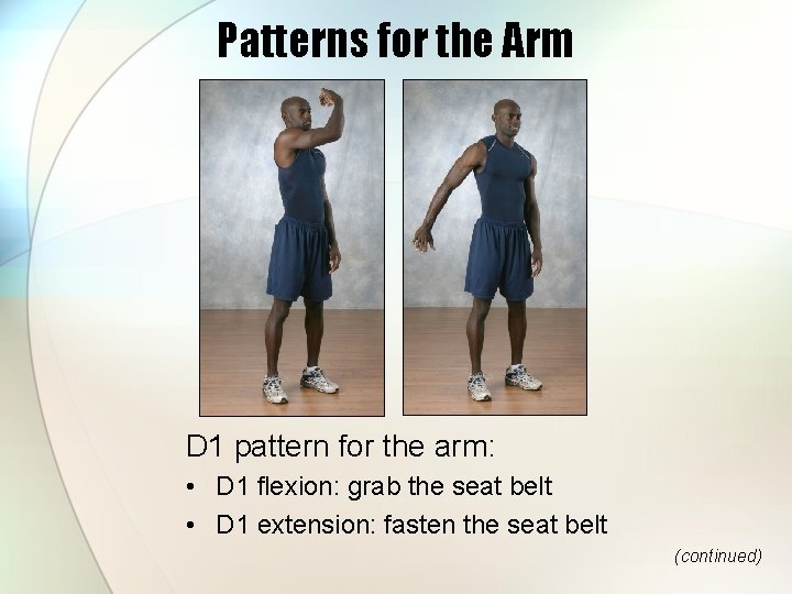Patterns for the Arm D 1 pattern for the arm: • D 1 flexion: