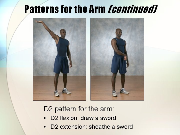 Patterns for the Arm (continued) D 2 pattern for the arm: • D 2