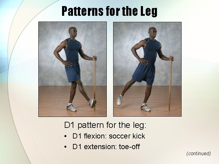 Patterns for the Leg D 1 pattern for the leg: • D 1 flexion: