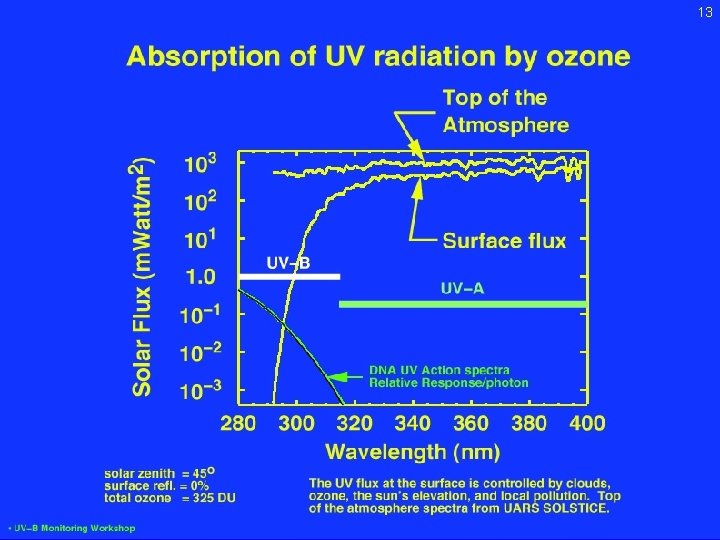 13 Absorption of UV by ozone Feb. 2, 2005 