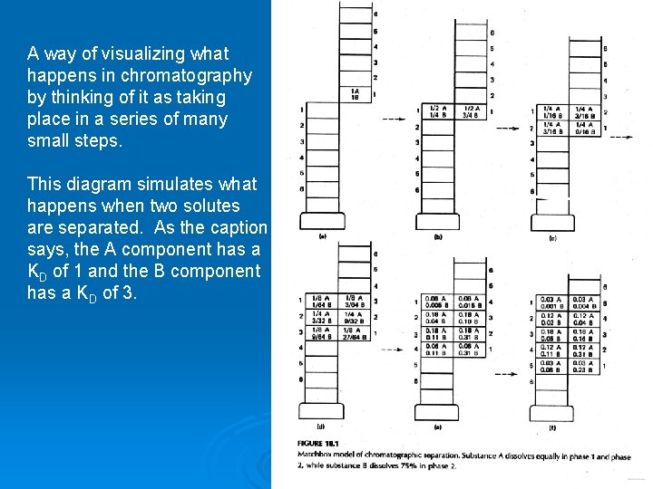 A way of visualizing what happens in chromatography by thinking of it as taking