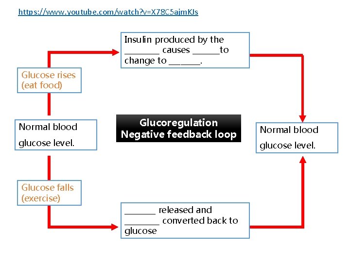 https: //www. youtube. com/watch? v=X 78 C 5 ajm. KJs Insulin produced by the