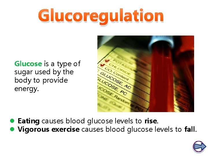 Glucoregulation Glucose is a type of sugar used by the body to provide energy.