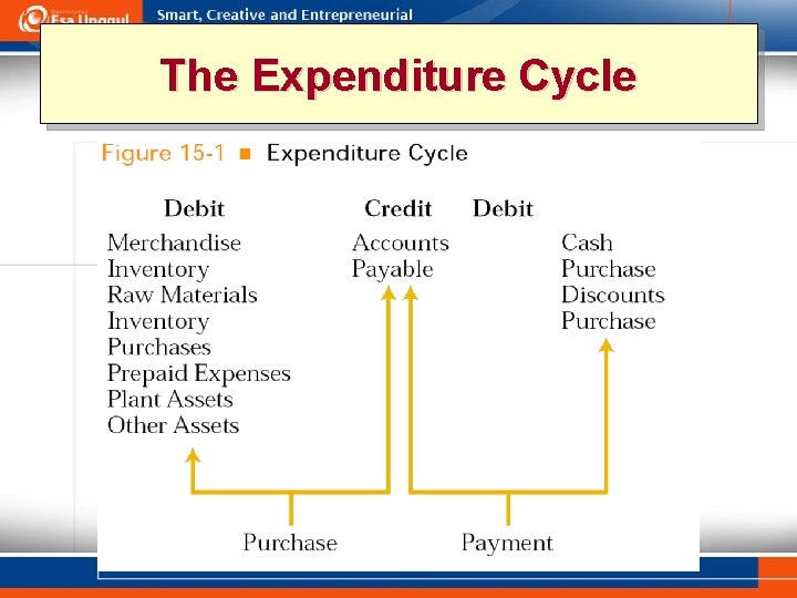 The Expenditure Cycle 