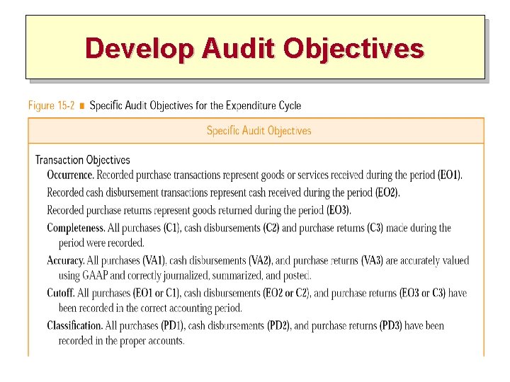 Develop Audit Objectives 