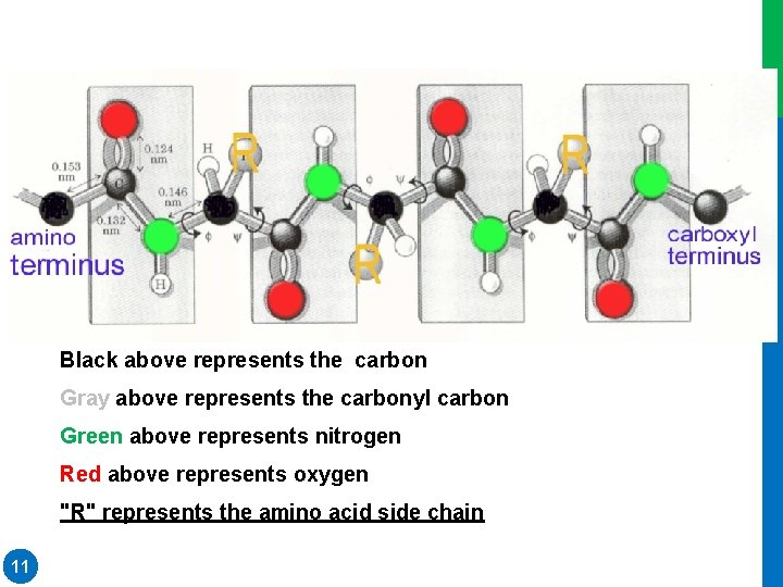 Black above represents the carbon Gray above represents the carbonyl carbon Green above represents Black above represents the carbon Gray above represents the carbonyl carbon Green above represents