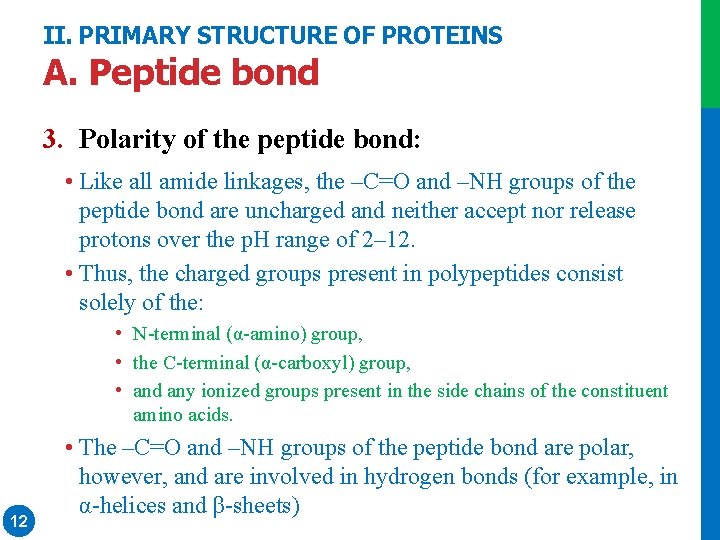 II. PRIMARY STRUCTURE OF PROTEINS A. Peptide bond 3. Polarity of the peptide bond: II. PRIMARY STRUCTURE OF PROTEINS A. Peptide bond 3. Polarity of the peptide bond: