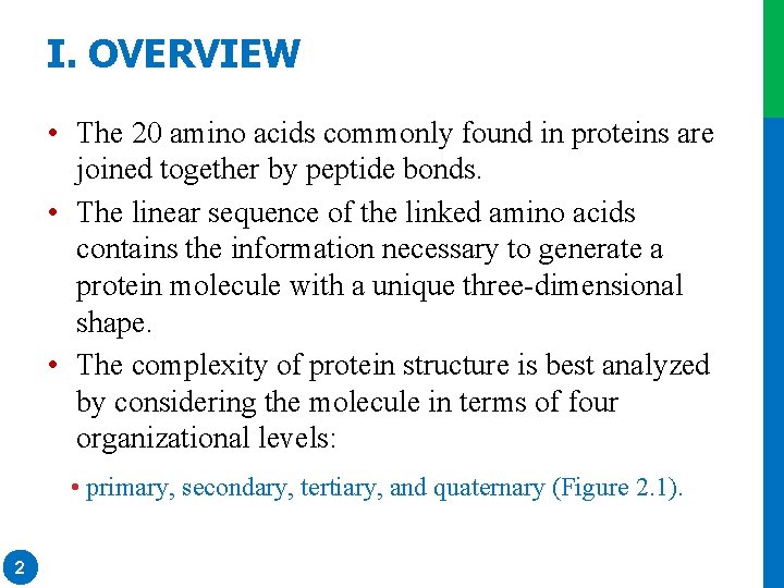 I. OVERVIEW • The 20 amino acids commonly found in proteins are joined together I. OVERVIEW • The 20 amino acids commonly found in proteins are joined together