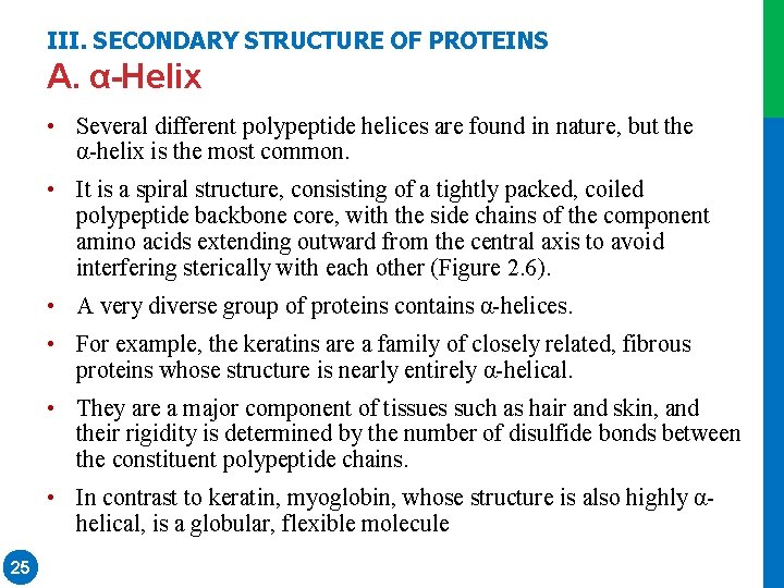 III. SECONDARY STRUCTURE OF PROTEINS A. α-Helix • Several different polypeptide helices are found III. SECONDARY STRUCTURE OF PROTEINS A. α-Helix • Several different polypeptide helices are found
