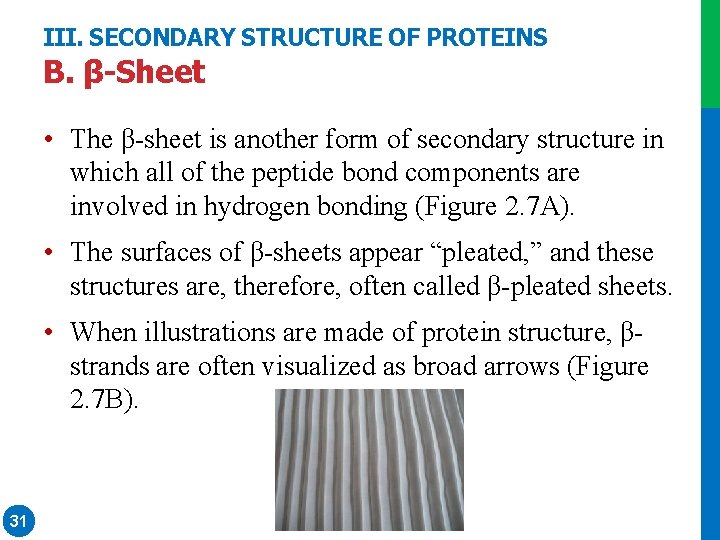 III. SECONDARY STRUCTURE OF PROTEINS B. β-Sheet • The β-sheet is another form of III. SECONDARY STRUCTURE OF PROTEINS B. β-Sheet • The β-sheet is another form of