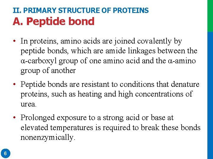 II. PRIMARY STRUCTURE OF PROTEINS A. Peptide bond • In proteins, amino acids are II. PRIMARY STRUCTURE OF PROTEINS A. Peptide bond • In proteins, amino acids are