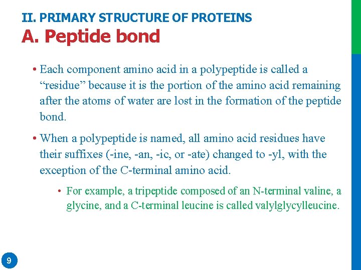 II. PRIMARY STRUCTURE OF PROTEINS A. Peptide bond • Each component amino acid in II. PRIMARY STRUCTURE OF PROTEINS A. Peptide bond • Each component amino acid in