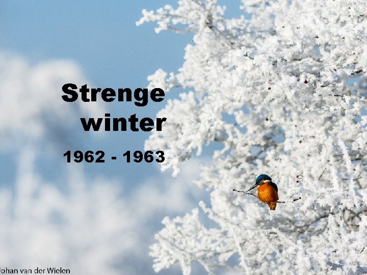 Strenge winter 1962 - 1963 