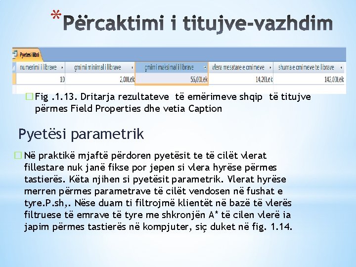 * � Fig. 1. 13. Dritarja rezultateve të emërimeve shqip të titujve përmes Field