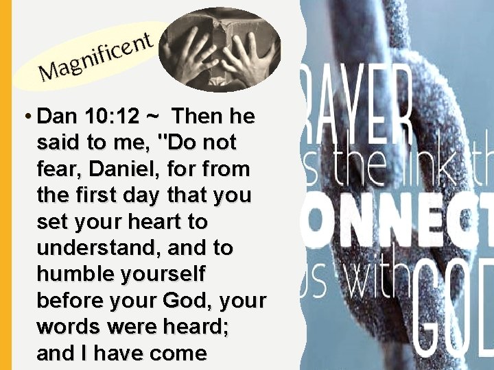  • Dan 10: 12 ~ Then he said to me, "Do not fear,