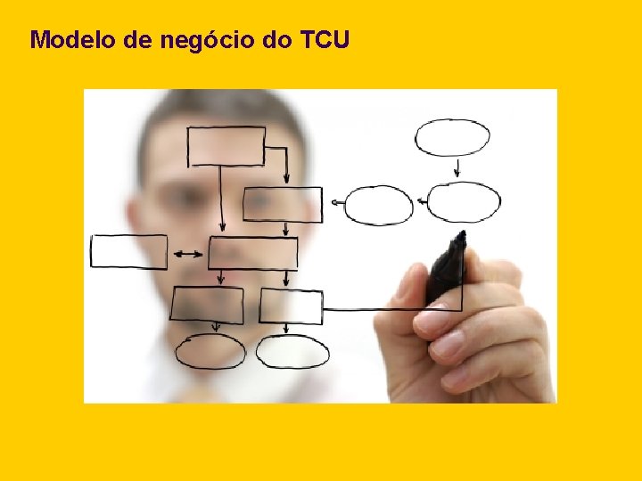 Modelo de negócio do TCU 