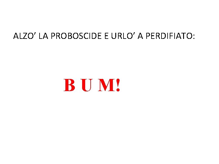 ALZO’ LA PROBOSCIDE E URLO’ A PERDIFIATO: B U M! 