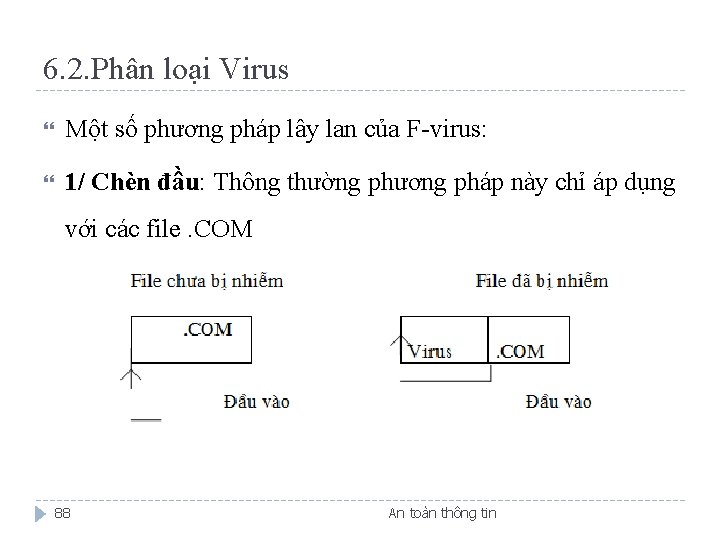 6. 2. Phân loại Virus Một số phương pháp lây lan của F-virus: 1/