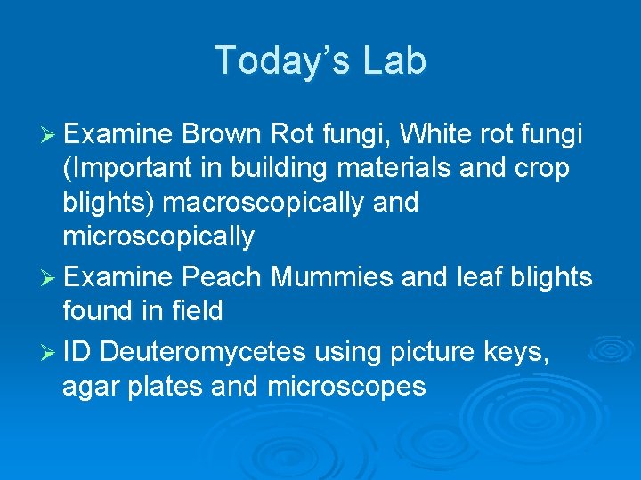 Today’s Lab Ø Examine Brown Rot fungi, White rot fungi (Important in building materials