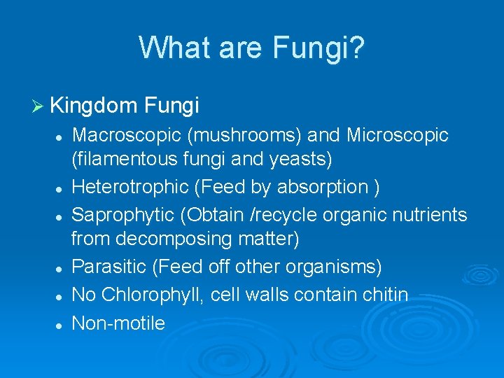 What are Fungi? Ø Kingdom Fungi l l l Macroscopic (mushrooms) and Microscopic (filamentous