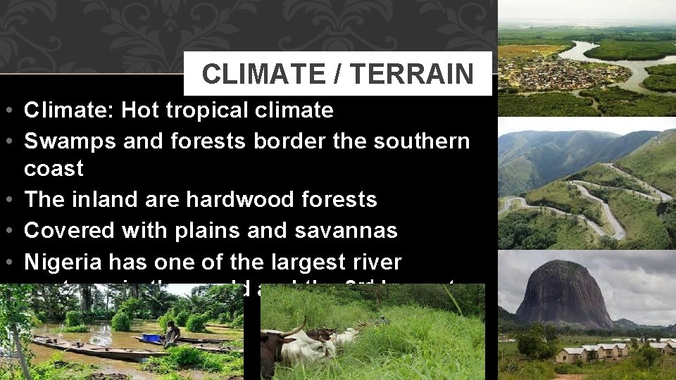 CLIMATE / TERRAIN • Climate: Hot tropical climate • Swamps and forests border the