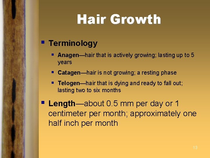 Hair Growth § § Terminology § Anagen—hair that is actively growing; lasting up to