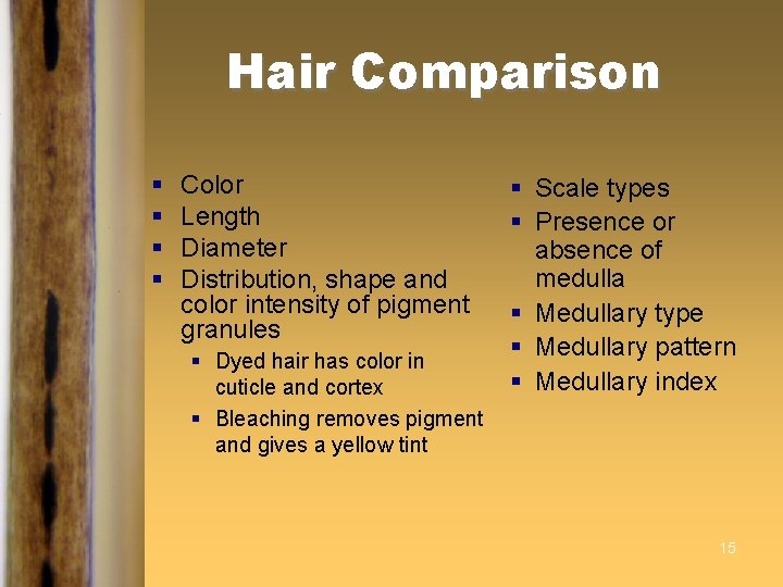 Hair Comparison § § Color Length Diameter Distribution, shape and color intensity of pigment Hair Comparison § § Color Length Diameter Distribution, shape and color intensity of pigment