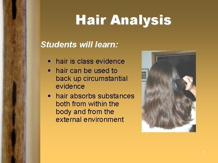 Hair Analysis Students will learn: § hair is class evidence § hair can be