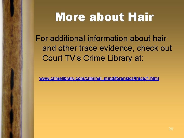 More about Hair For additional information about hair and other trace evidence, check out