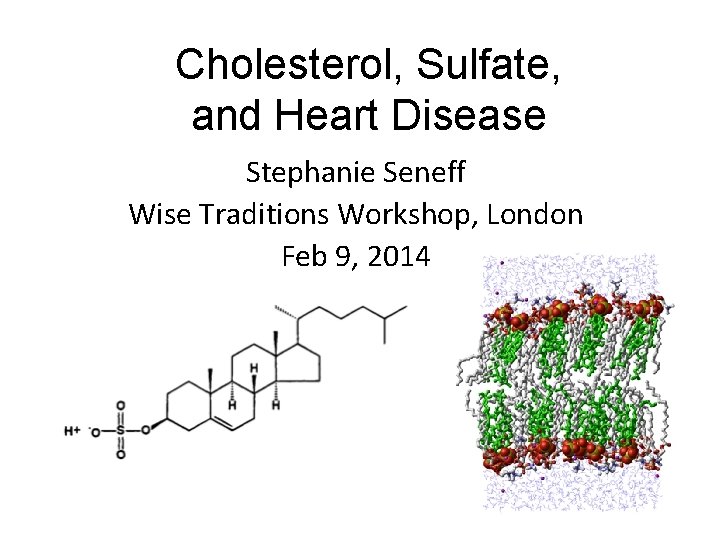 Cholesterol, Sulfate, and Heart Disease Stephanie Seneff Wise Traditions Workshop, London Feb 9, 2014